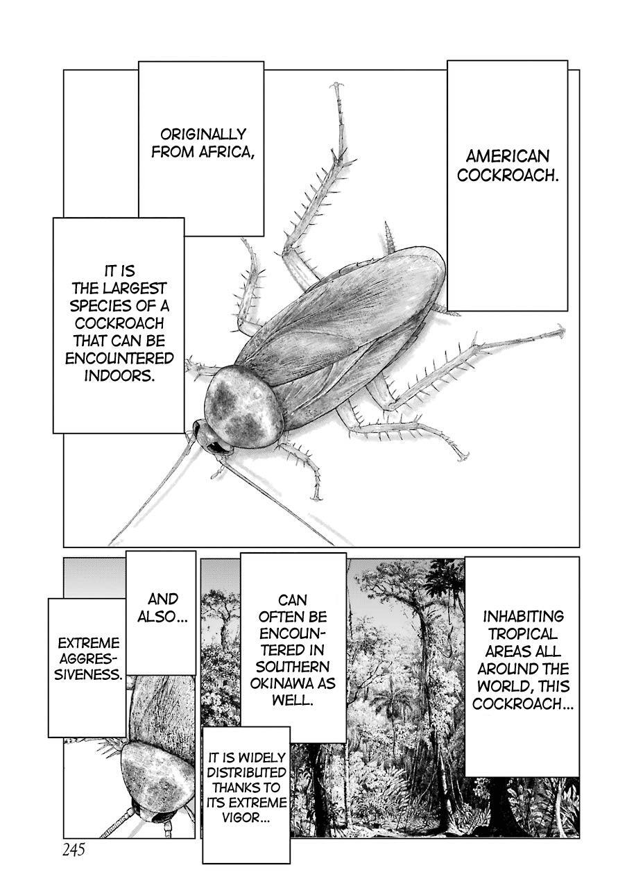 Read Blattodea Manga Online