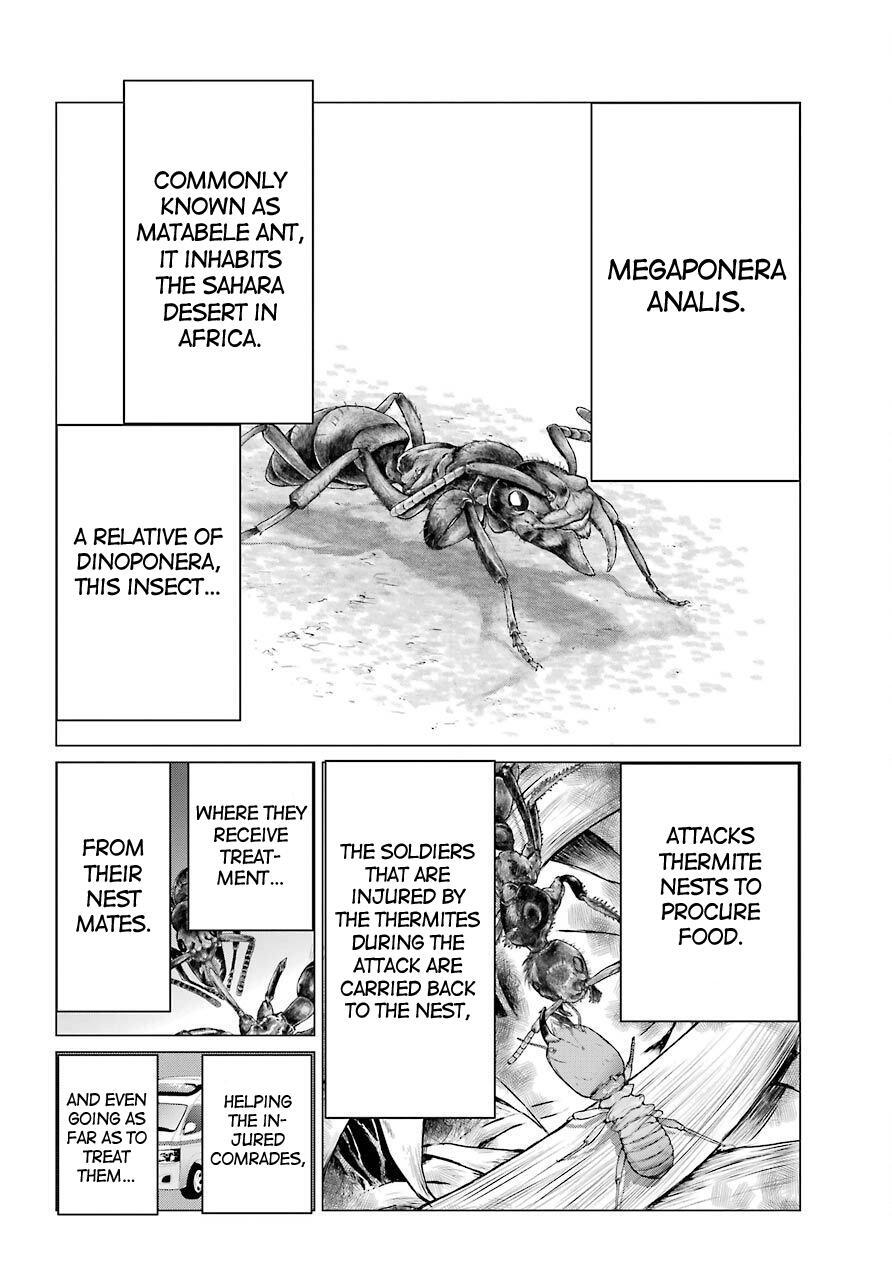 Read Blattodea Manga Online