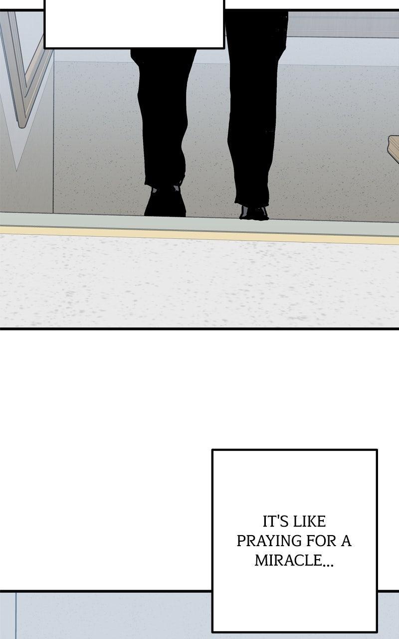 Read Boss Return Manga Online