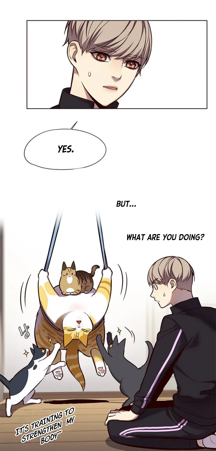 Read Eleceed Manga Online