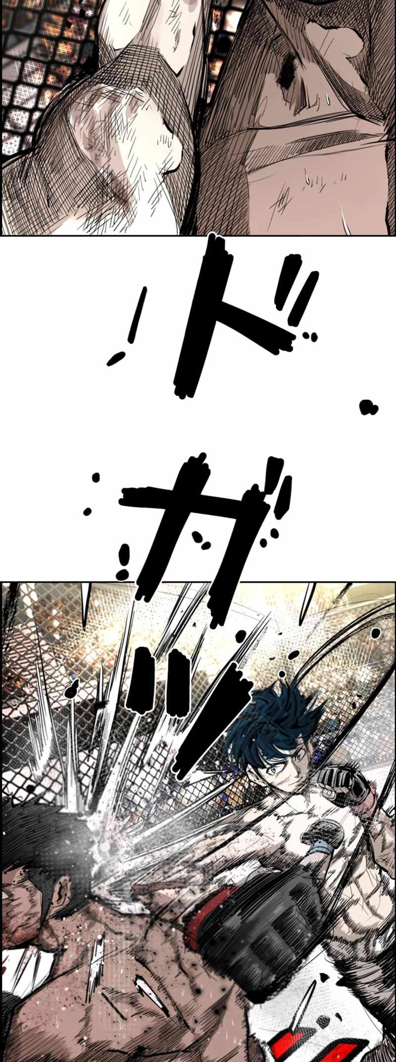 Read Shark Manga Online