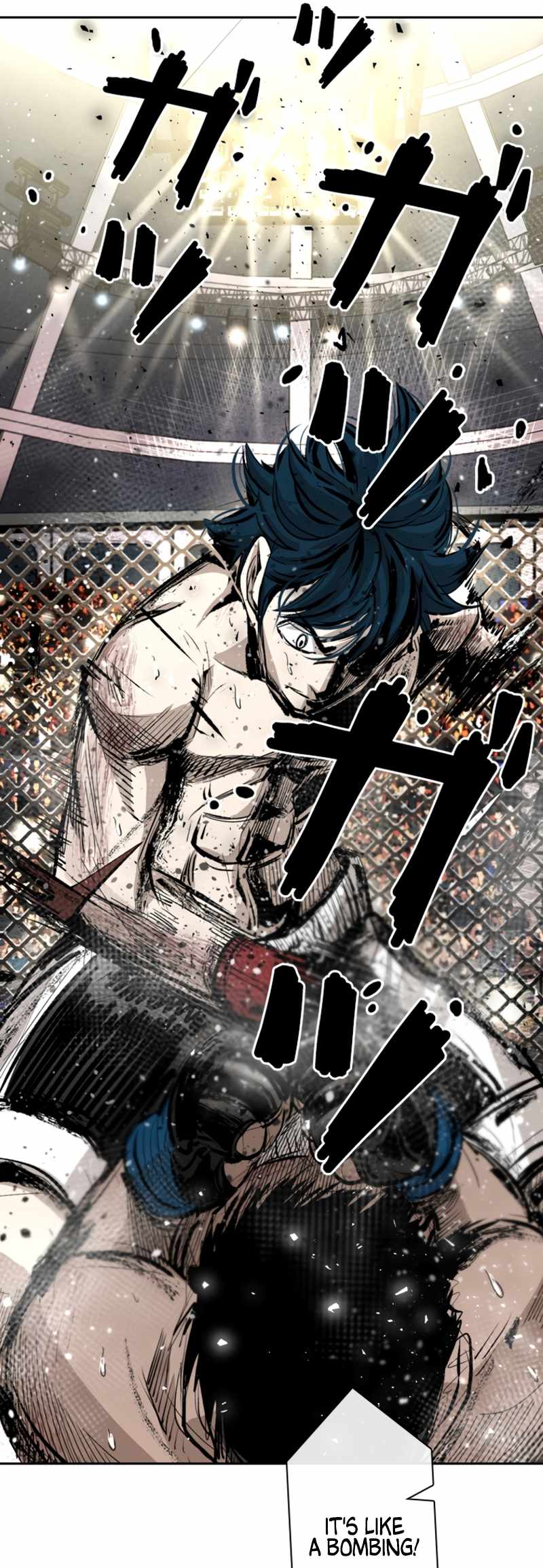Read Shark Manga Online