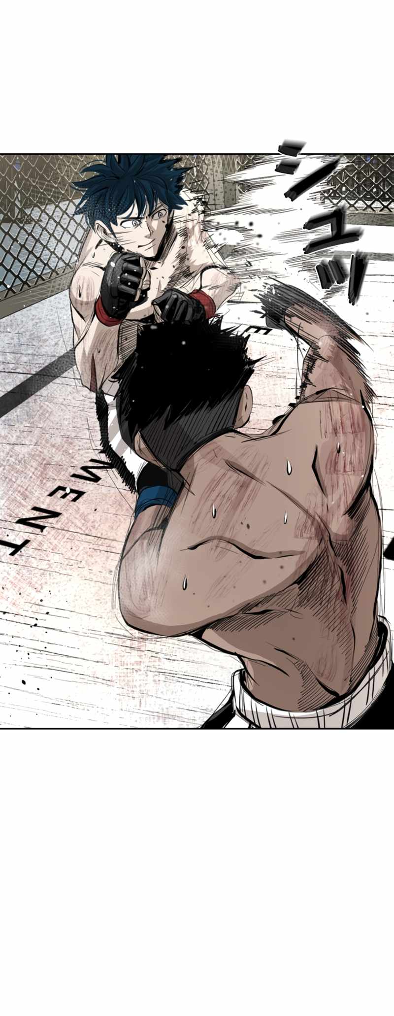 Read Shark Manga Online