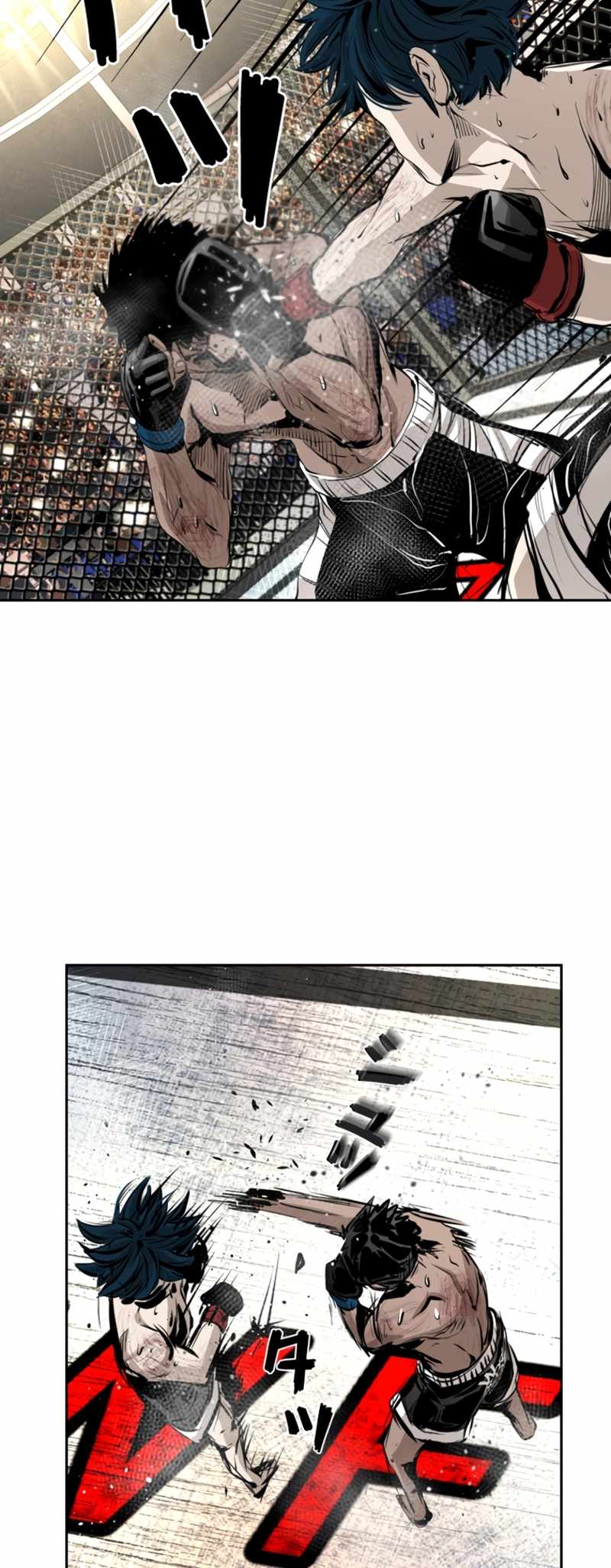 Read Shark Manga Online