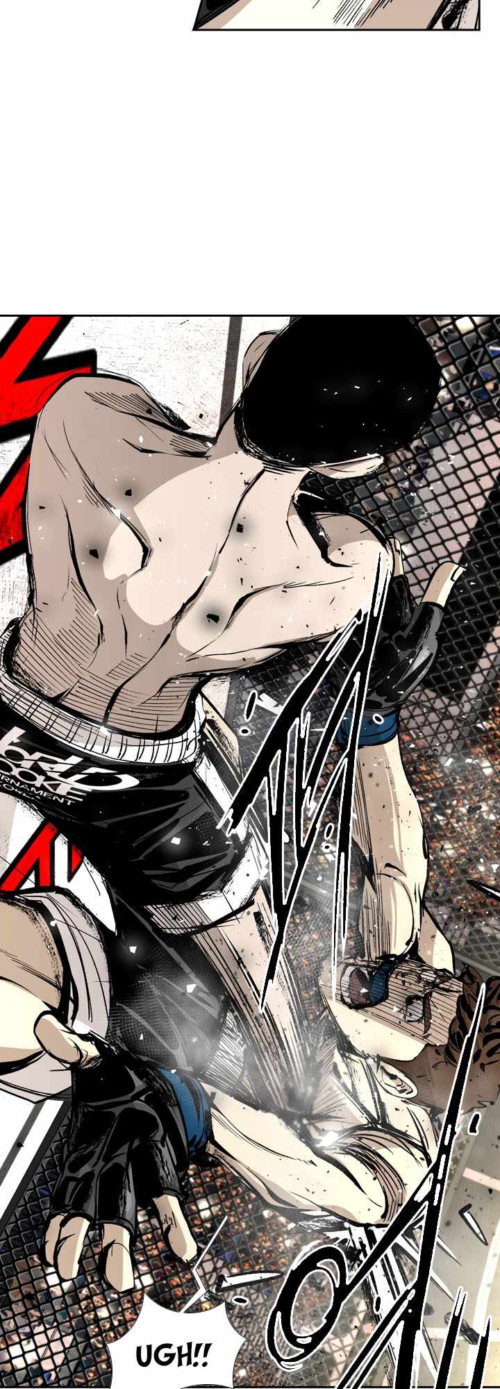 Read Shark Manga Online