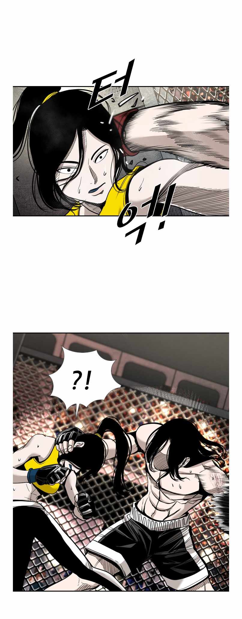Read Shark Manga Online
