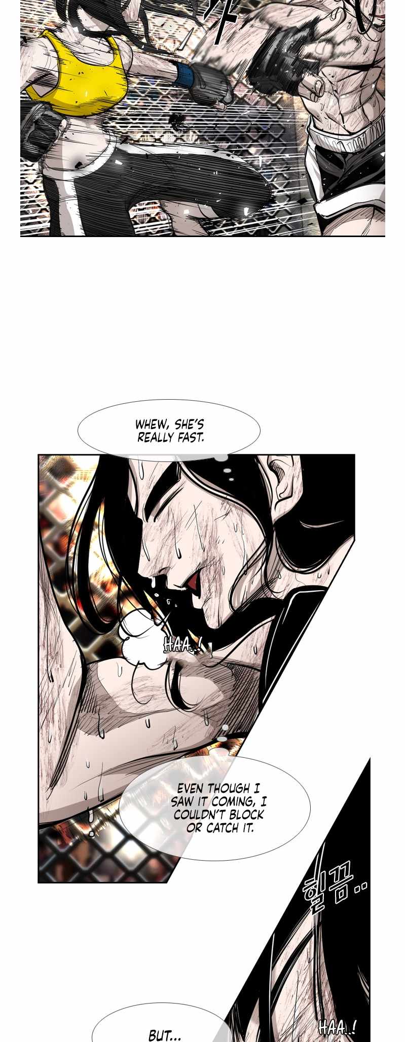 Read Shark Manga Online