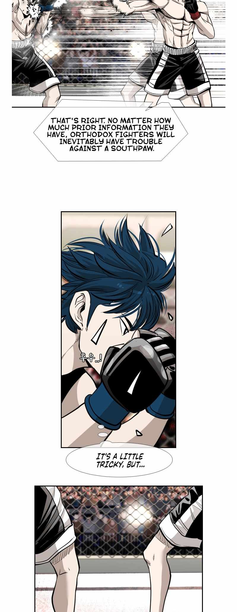 Read Shark Manga Online