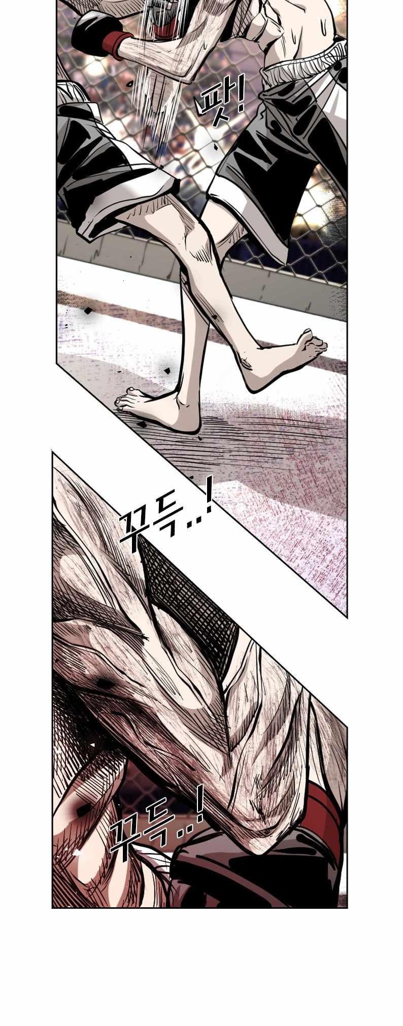 Read Shark Manga Online