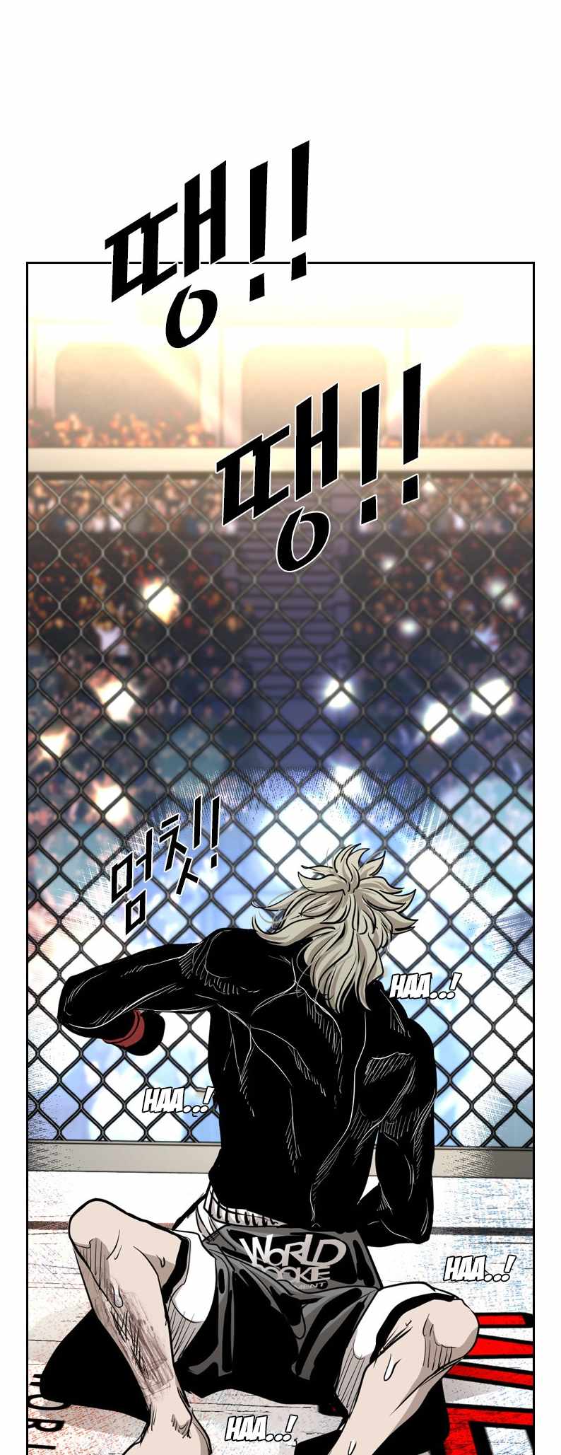Read Shark Manga Online