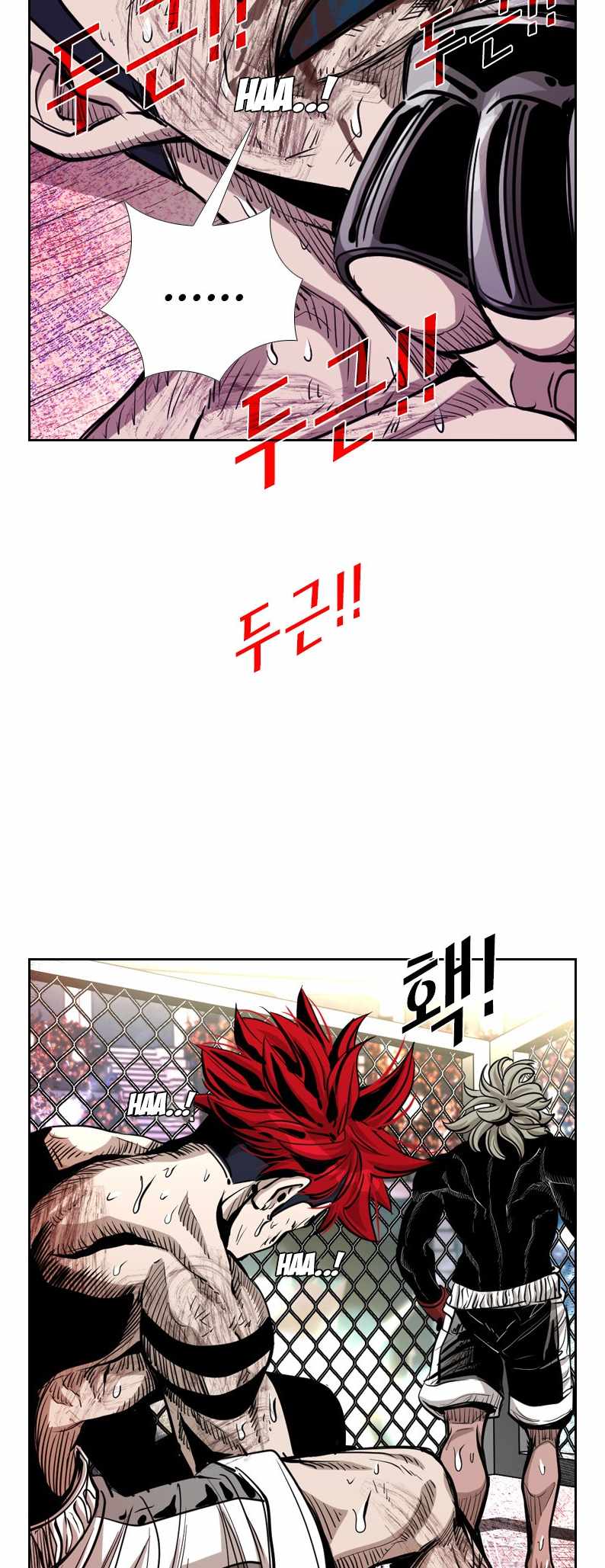 Read Shark Manga Online