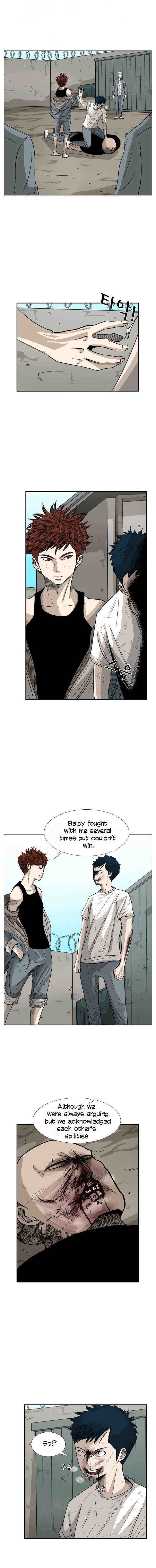 Read Shark Manga Online