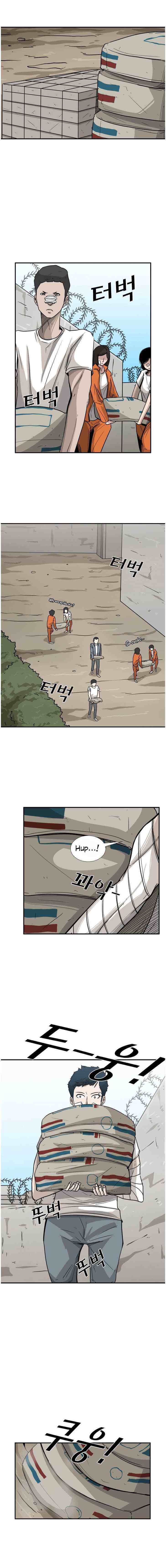 Read Shark Manga Online