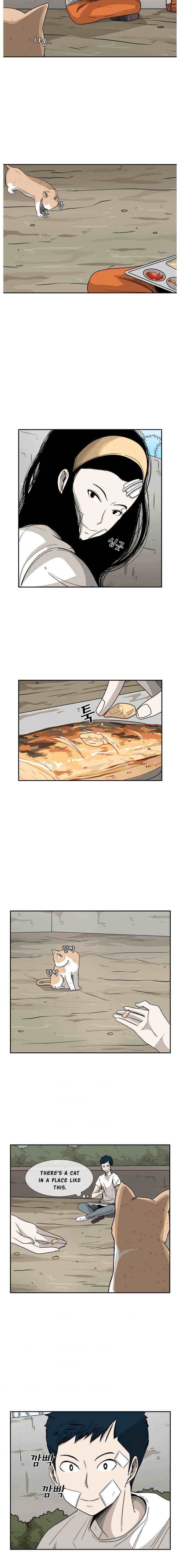 Read Shark Manga Online