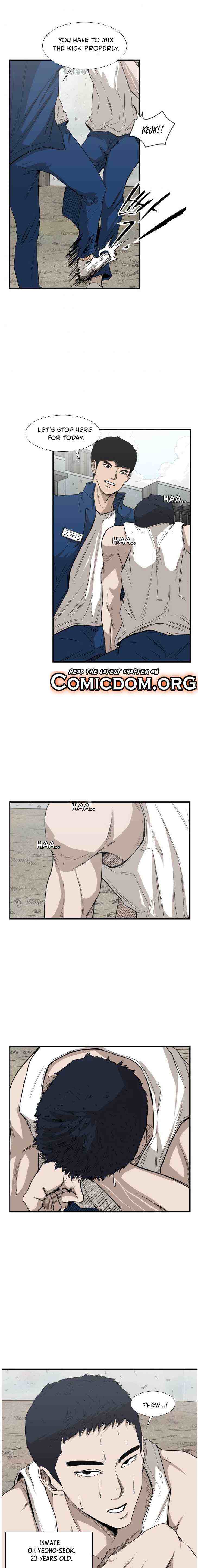 Read Shark Manga Online