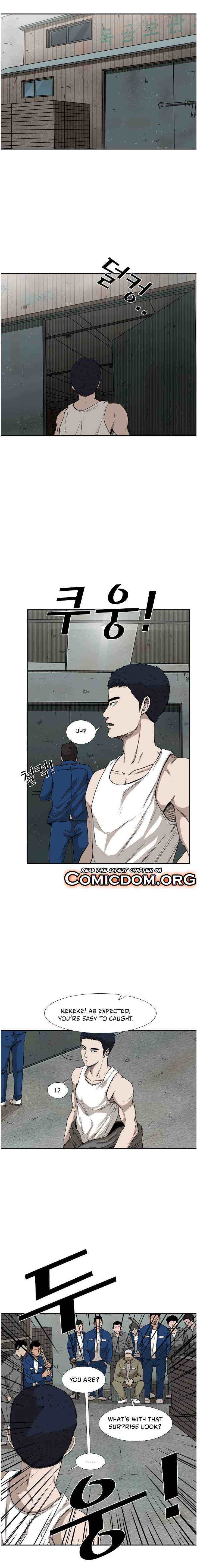 Read Shark Manga Online