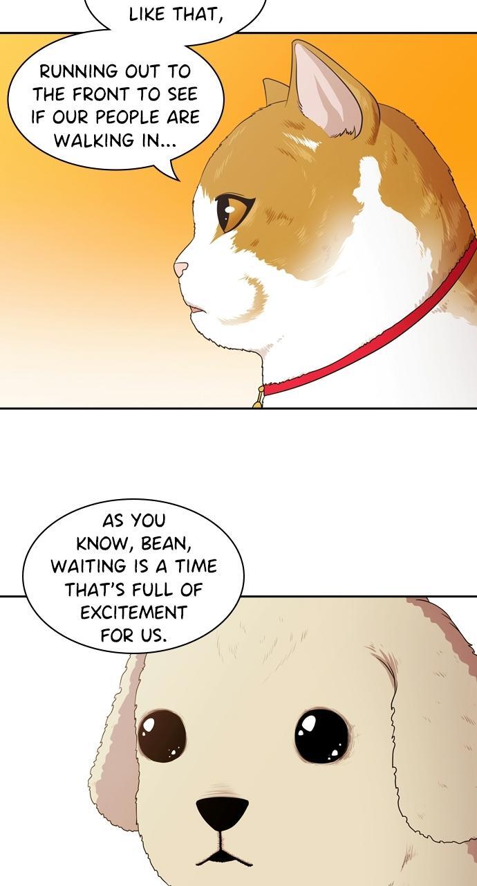 Read Tomorrow Manga Online