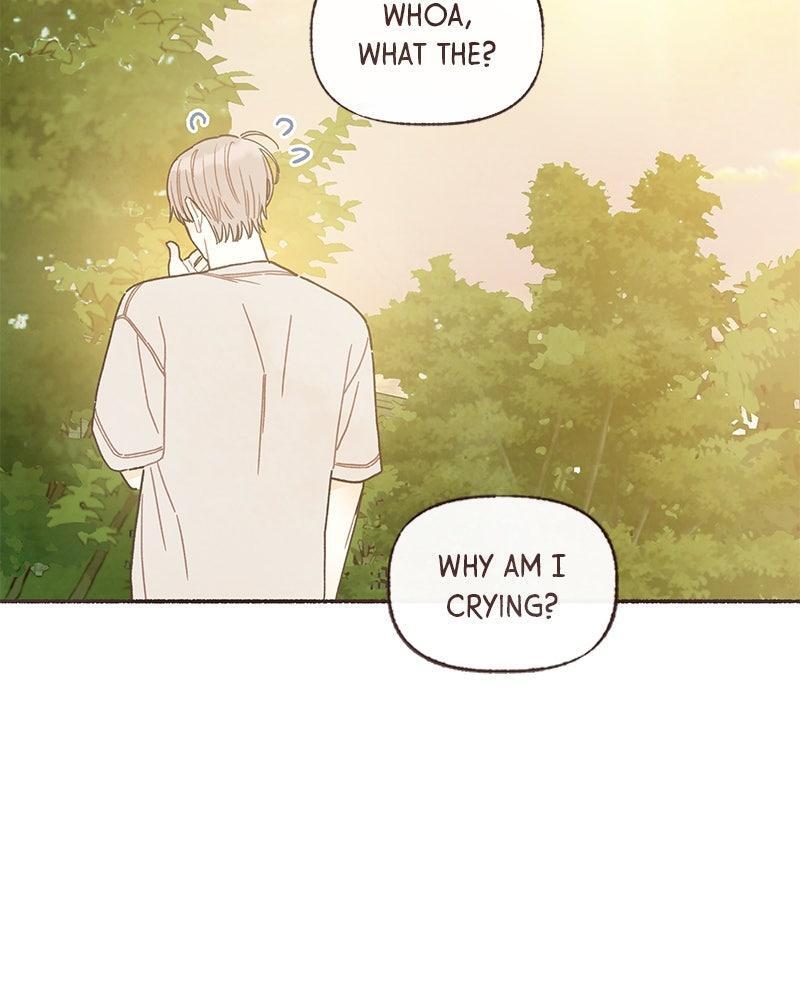 Read Transference Manga Online