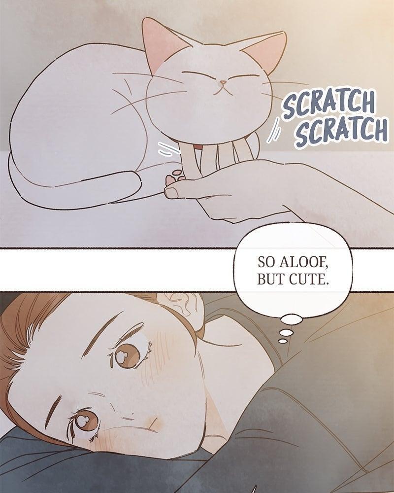 Read Transference Manga Online
