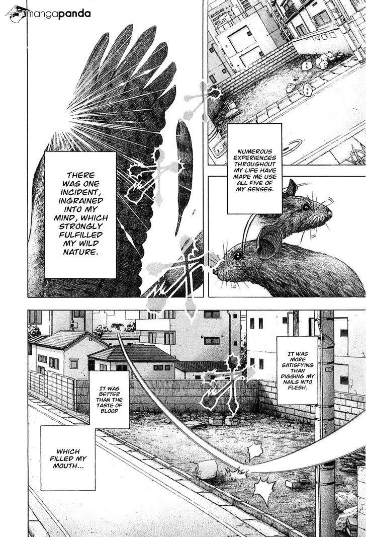 Read Usogui Manga Online